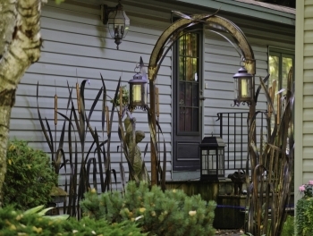 olsons-cattail-arch