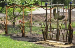 Heron Gate and Fence