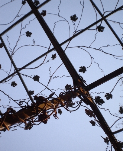 rupp-looking-up-for-web