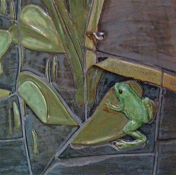 turcotte-frog-detail