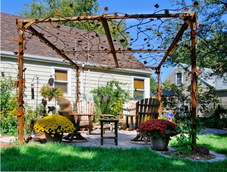 catmetalPergola-with-Steel-Grapevines