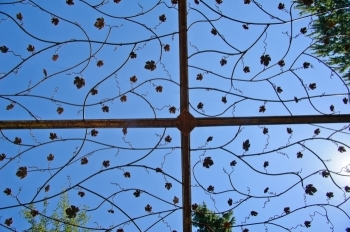 durgan-detailsky-copy