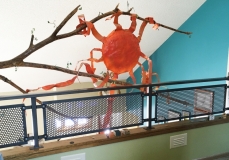 Interior Contemporary Railing Detail